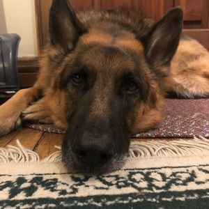 Meet your Posher, Eric